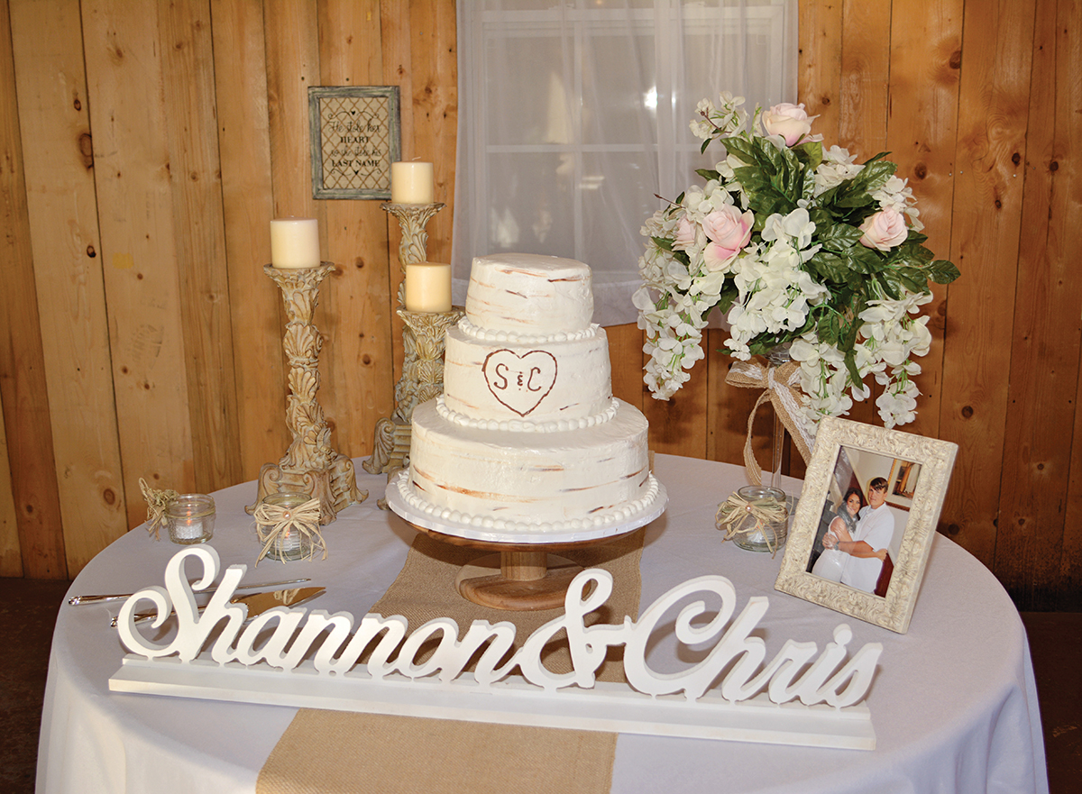 Shannon + Chris Naylor wedding cake tree trunk