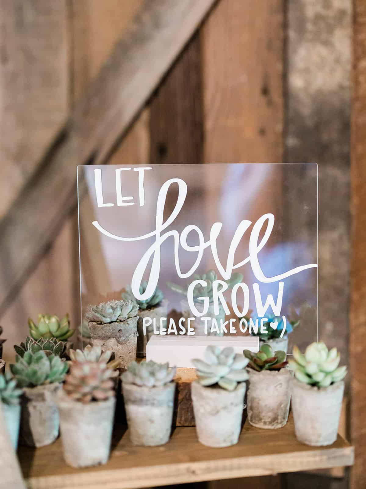 wedding decorations let love grown succulents